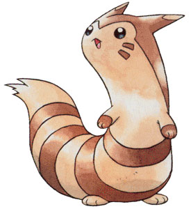 furret.jpg